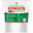 Ginger Swallow Medium