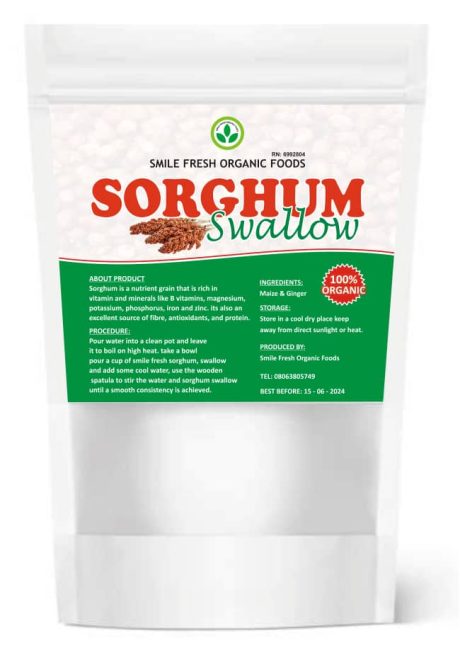 Surgom Swallow Big